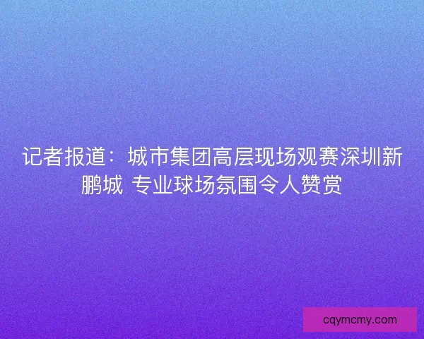 记者报道：城市集团高层现场观赛深圳新鹏城 专业球场氛围令人赞赏