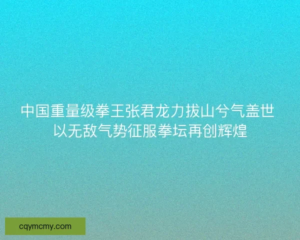 中国重量级拳王张君龙力拔山兮气盖世 以无敌气势征服拳坛再创辉煌