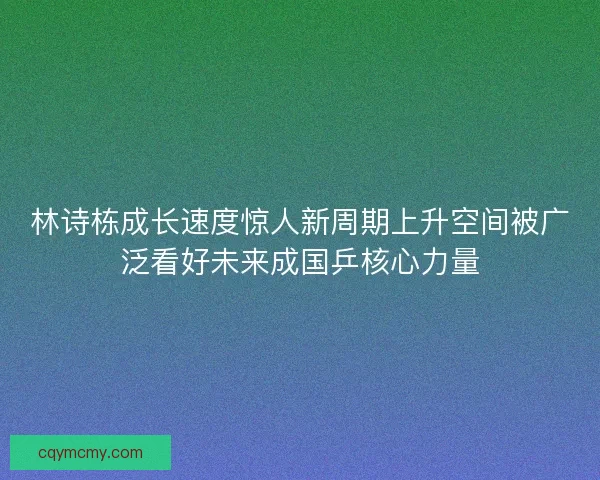 林诗栋成长速度惊人新周期上升空间被广泛看好未来成国乒核心力量