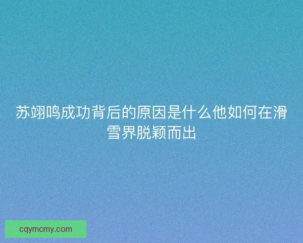 苏翊鸣成功背后的原因是什么他如何在滑雪界脱颖而出