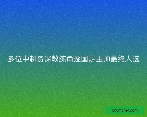 多位中超资深教练角逐国足主帅最终人选