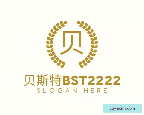 介绍贝斯特bst2222